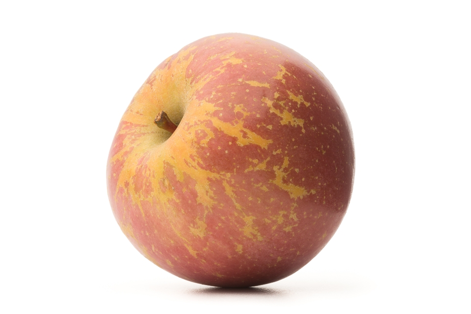 September Sunburst Fuji Apple