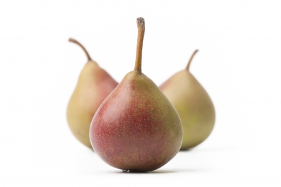 Seckel Pears