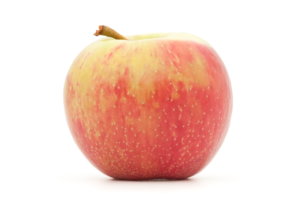 Honeycrisp Apple