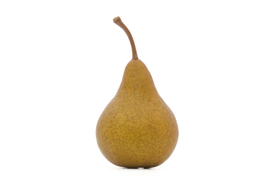 Bosc Pear