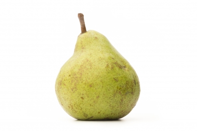 Potomac Pear