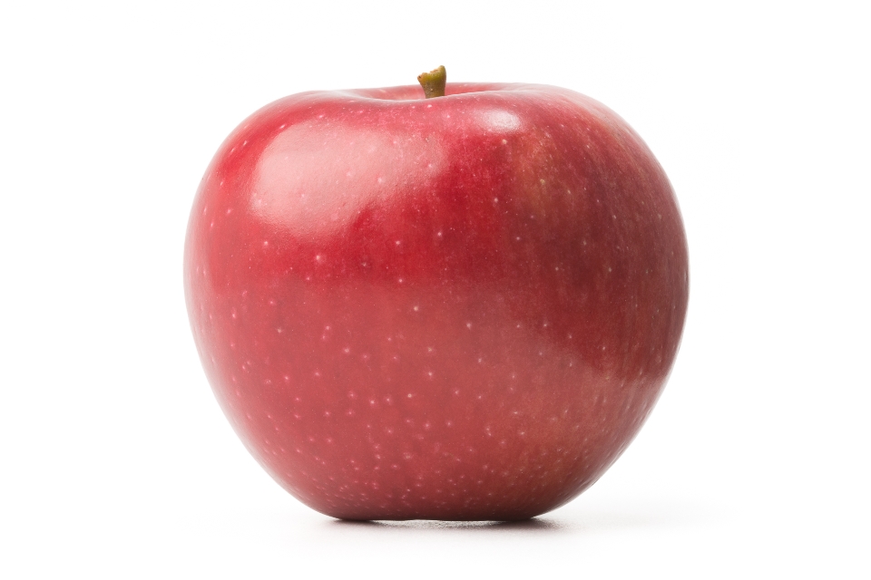 Stayman Winesap Apple