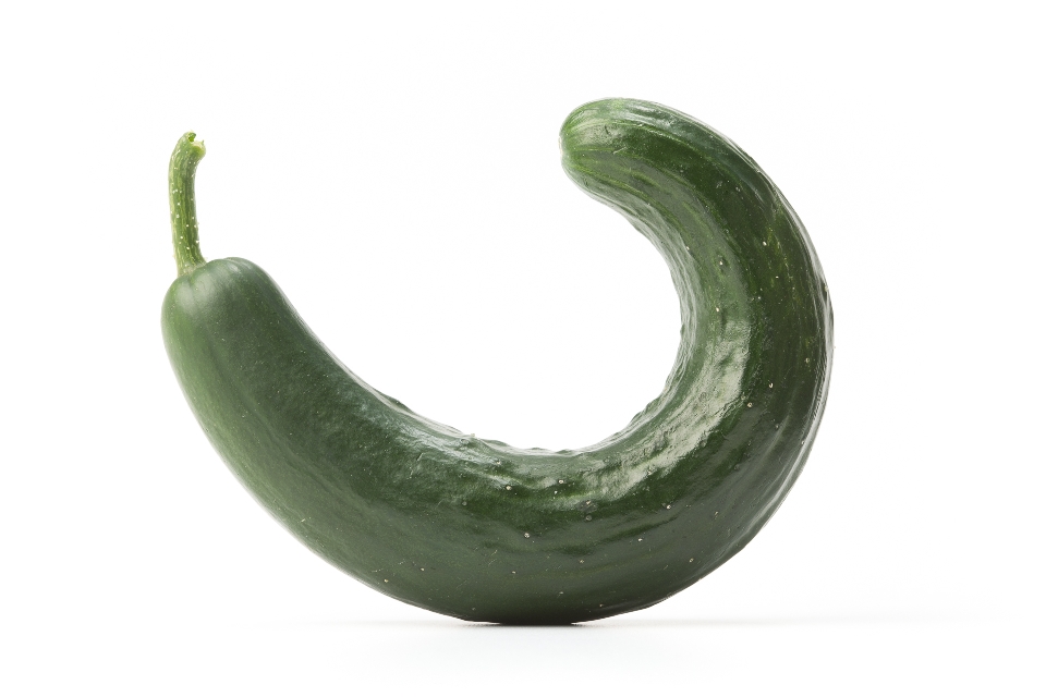 Dark Burpless Cucumbers