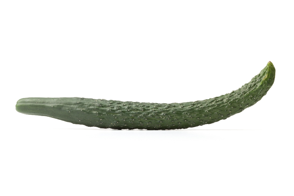 Korean Cucumber