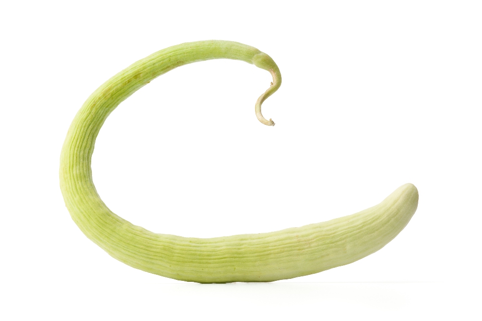Armenian Cucumber