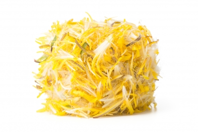 Dandelion Petals