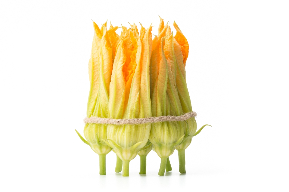 Squash Blossoms