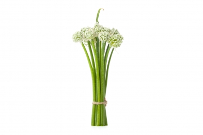 Onion Flowers