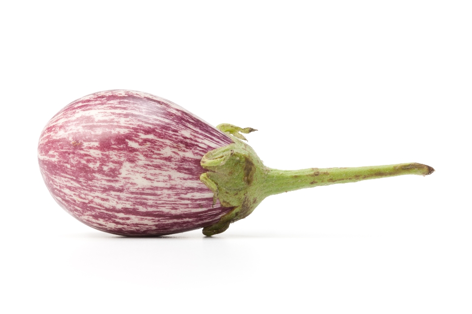 Indian Paint Eggplant