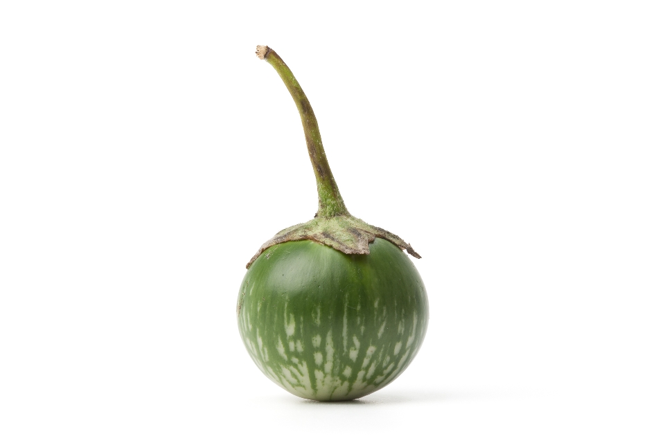 Thai Eggplant