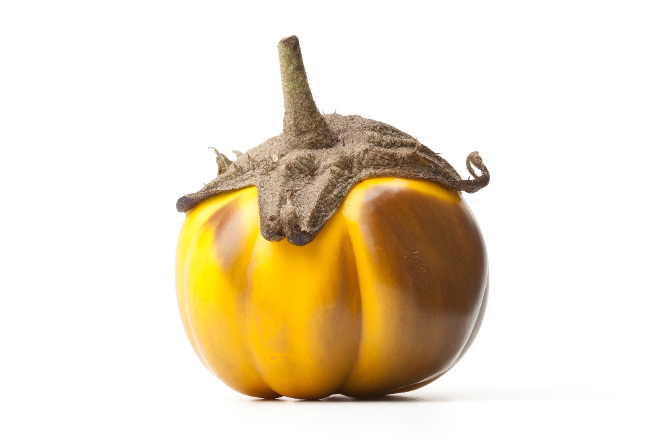 Yellow Eggplant
