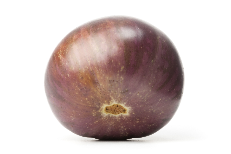 Black Beauty Eggplant