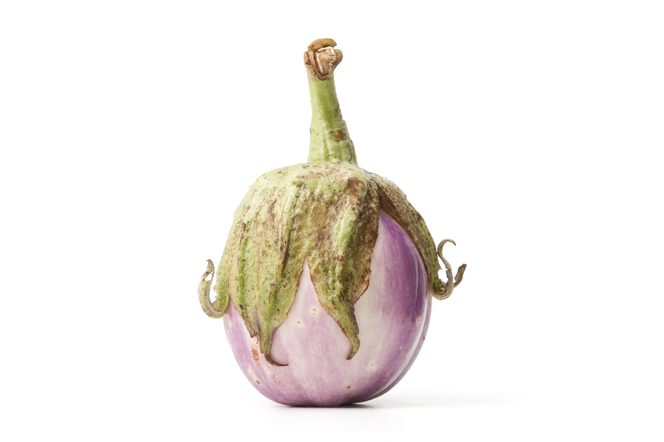 Rosa Bianca Eggplant