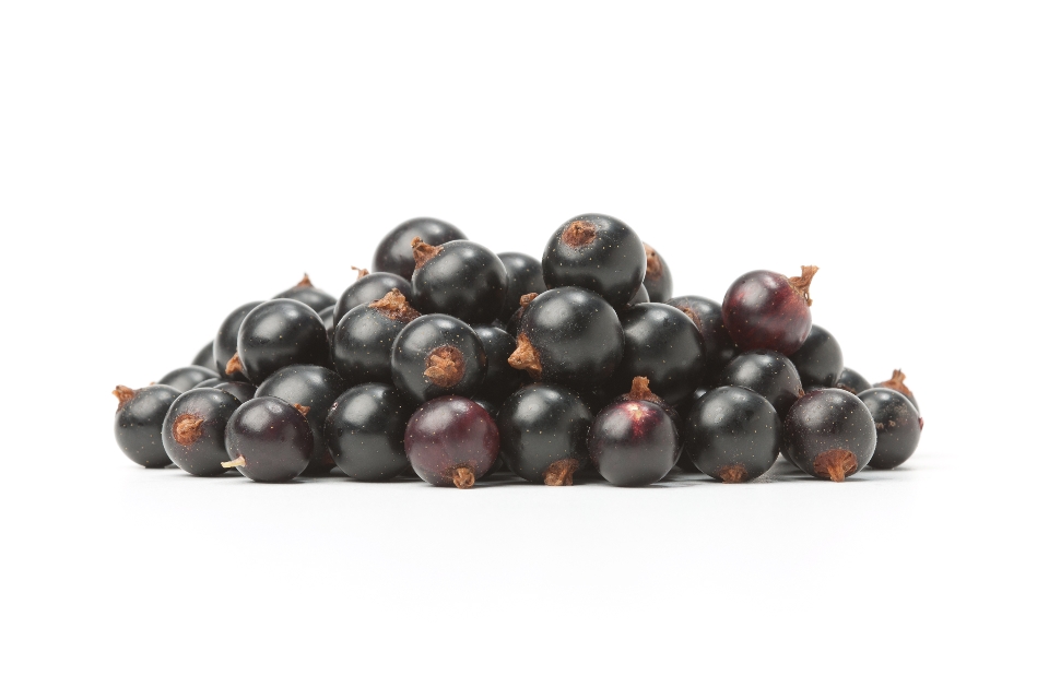 Blackcurrant