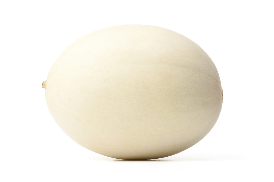 White Honeydew Melon