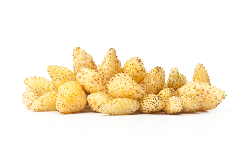 Yellow Wonder Wild Strawberries