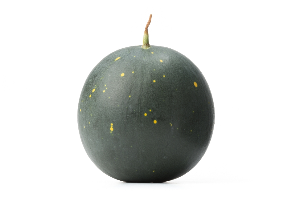 Moon and Stars Seedless Watermelon