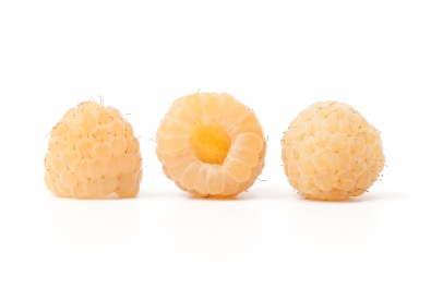Golden Raspberries