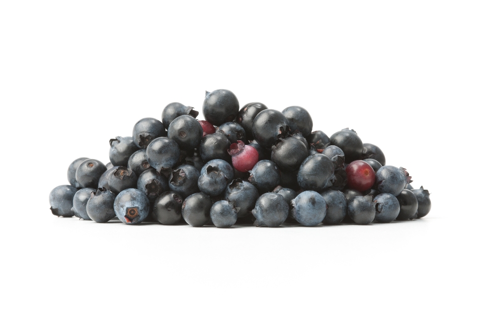 Wild Blueberries