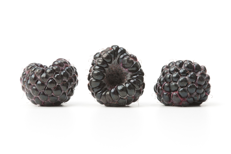 Black Raspberries