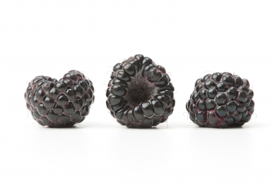 Black Raspberries