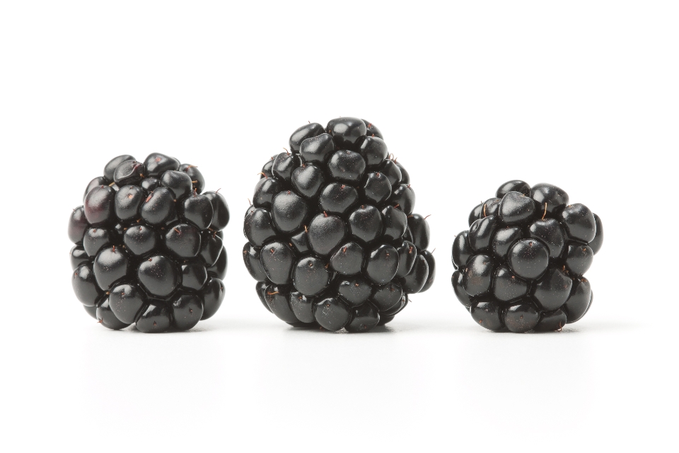 Blackberries