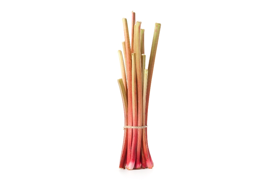 Rhubarb