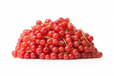 Red Currants