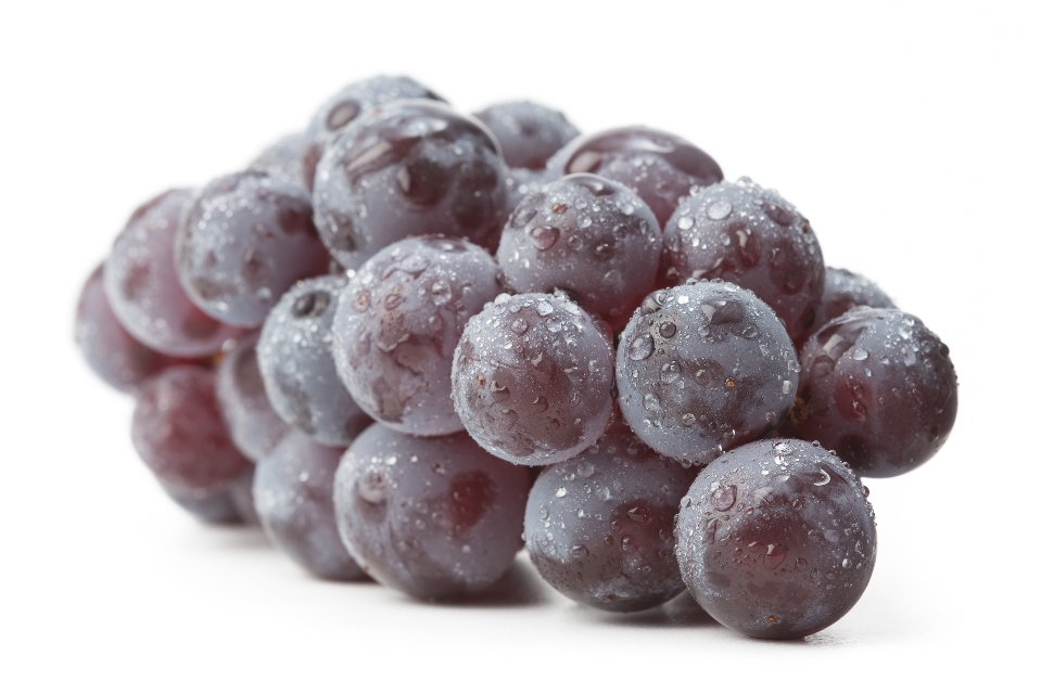 Steuben Grapes