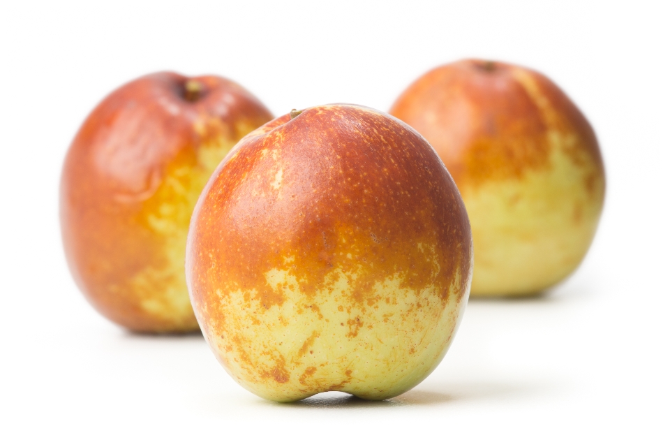 Jujube / Chinese Dates / Korean Dates / Red Dates