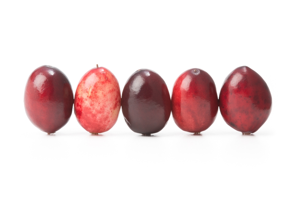 Cranberries