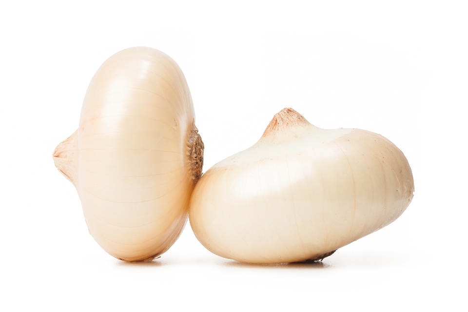 Golden Cipollini Onions