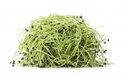 Micro Scallions