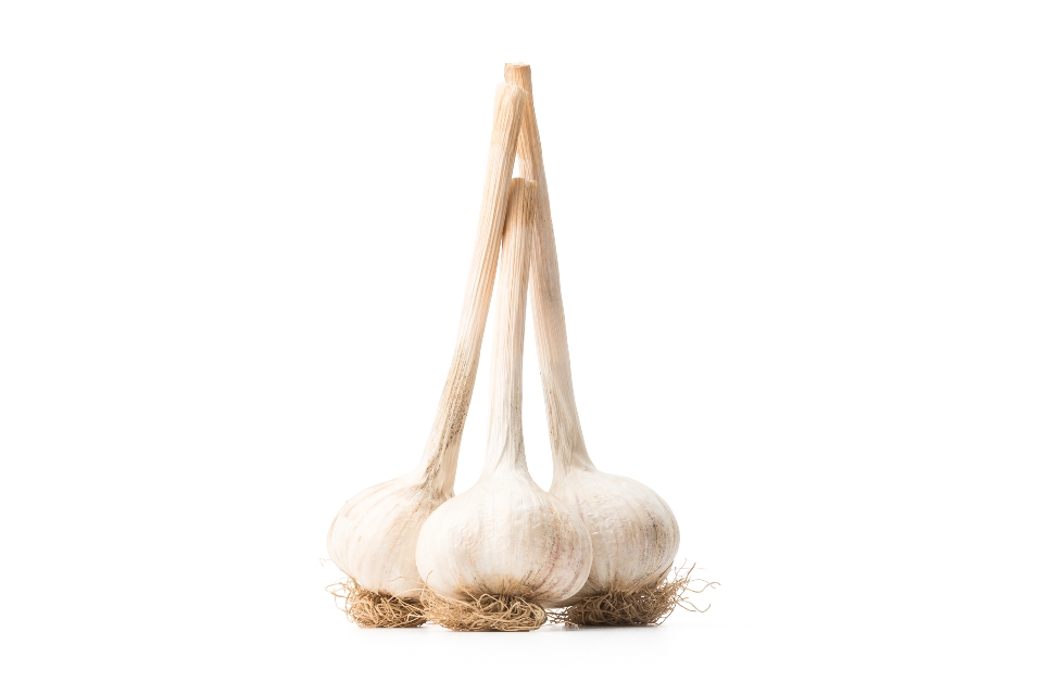Rocambole Garlic