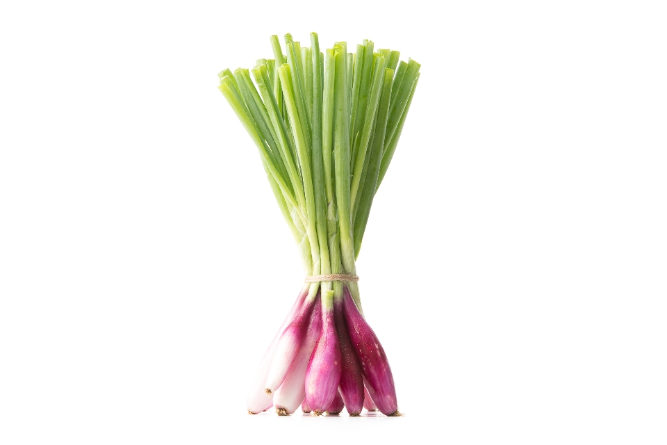 Red Torpedo Onions