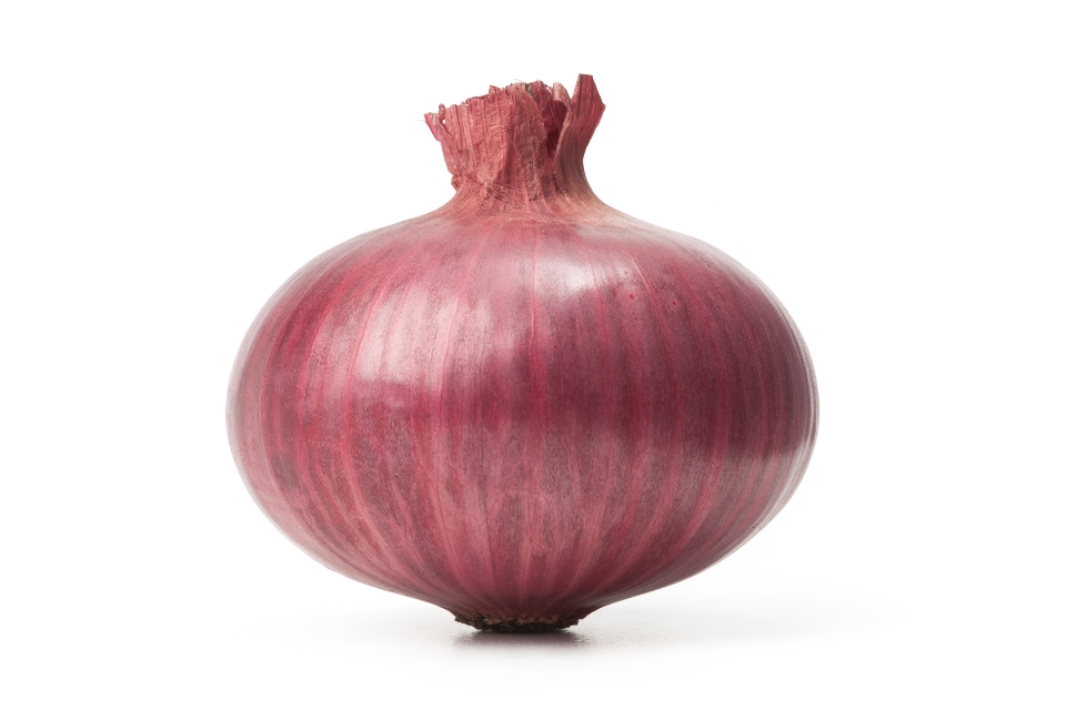 Red Cipollini Onion