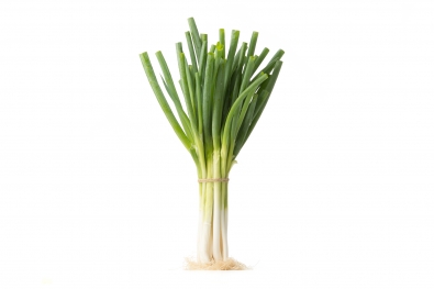 Negi