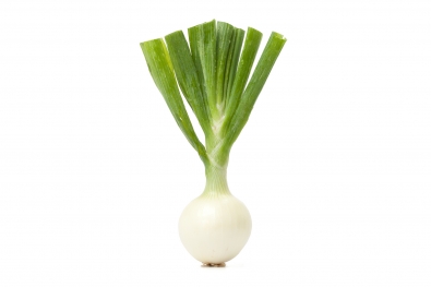 Sweet Onion