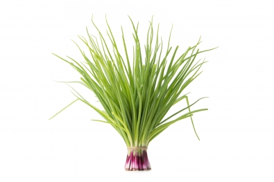 Red Scallions