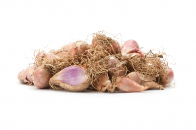 Shallots