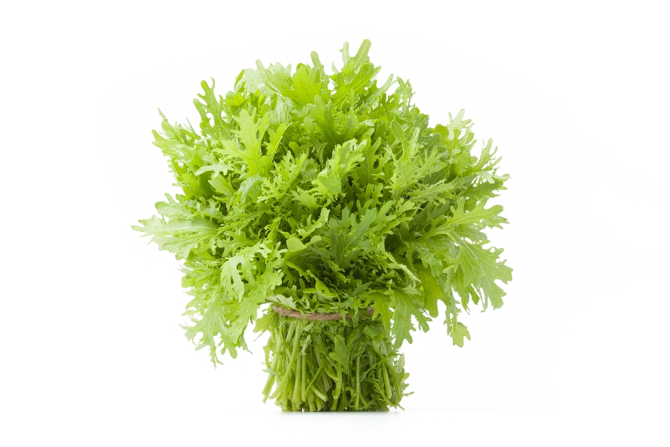 Green Mustard Greens