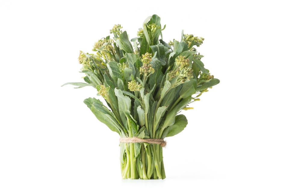 Green Cabbage Greens