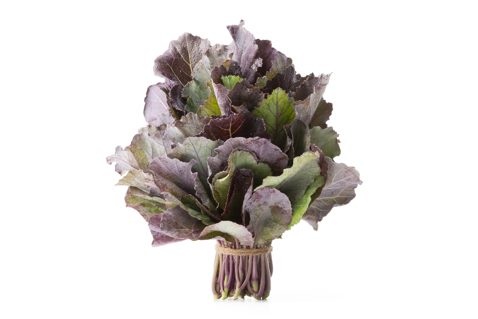 Purple Collard Greens