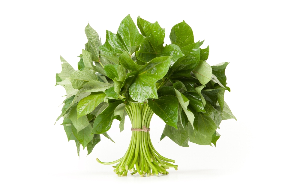 Sweet Potato Greens