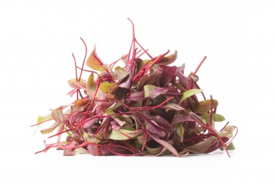 Micro Beet Greens