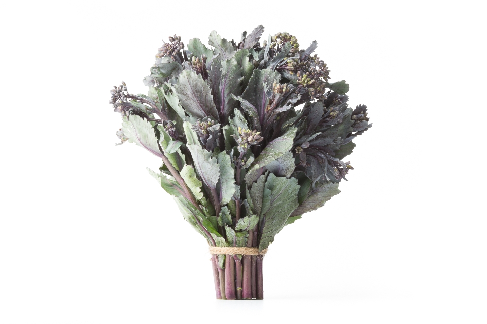 Purple Cabbage Greens