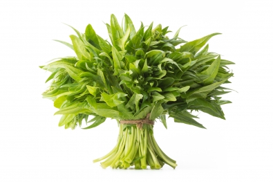 Green Spinach