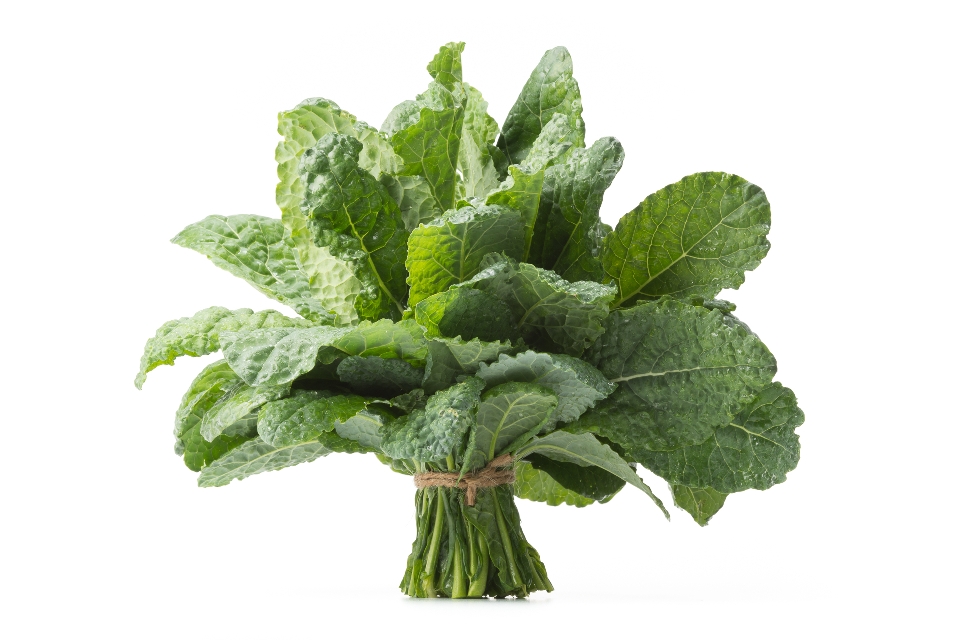 Tuscan Kale / Dinosaur Kale / Black Cabbage / Cavolo Nero / Lacinato Kale