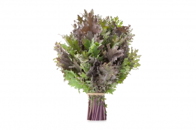 Red Russian Kale &#40;in Winter&#41;