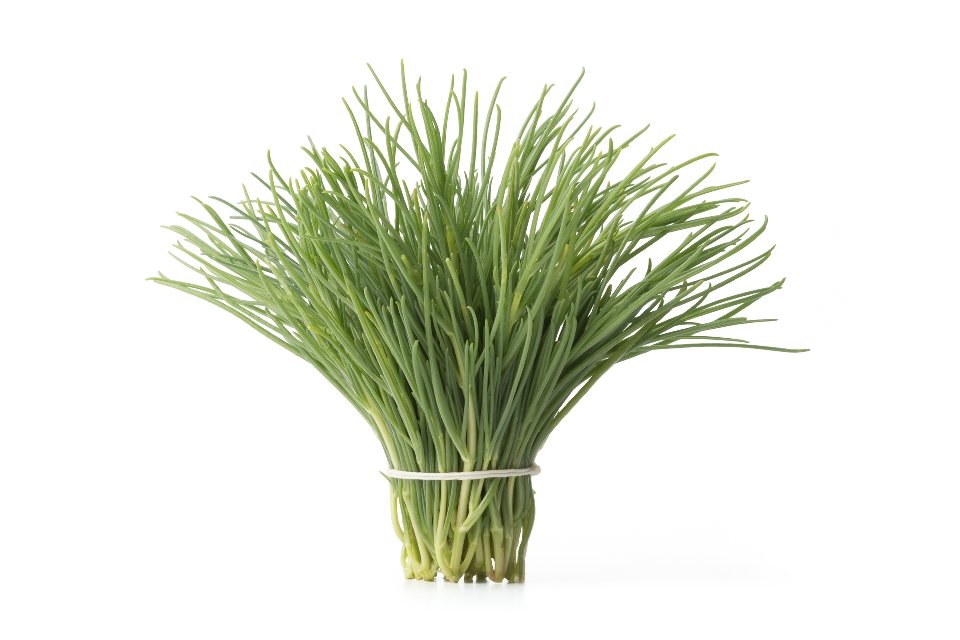 Agretti